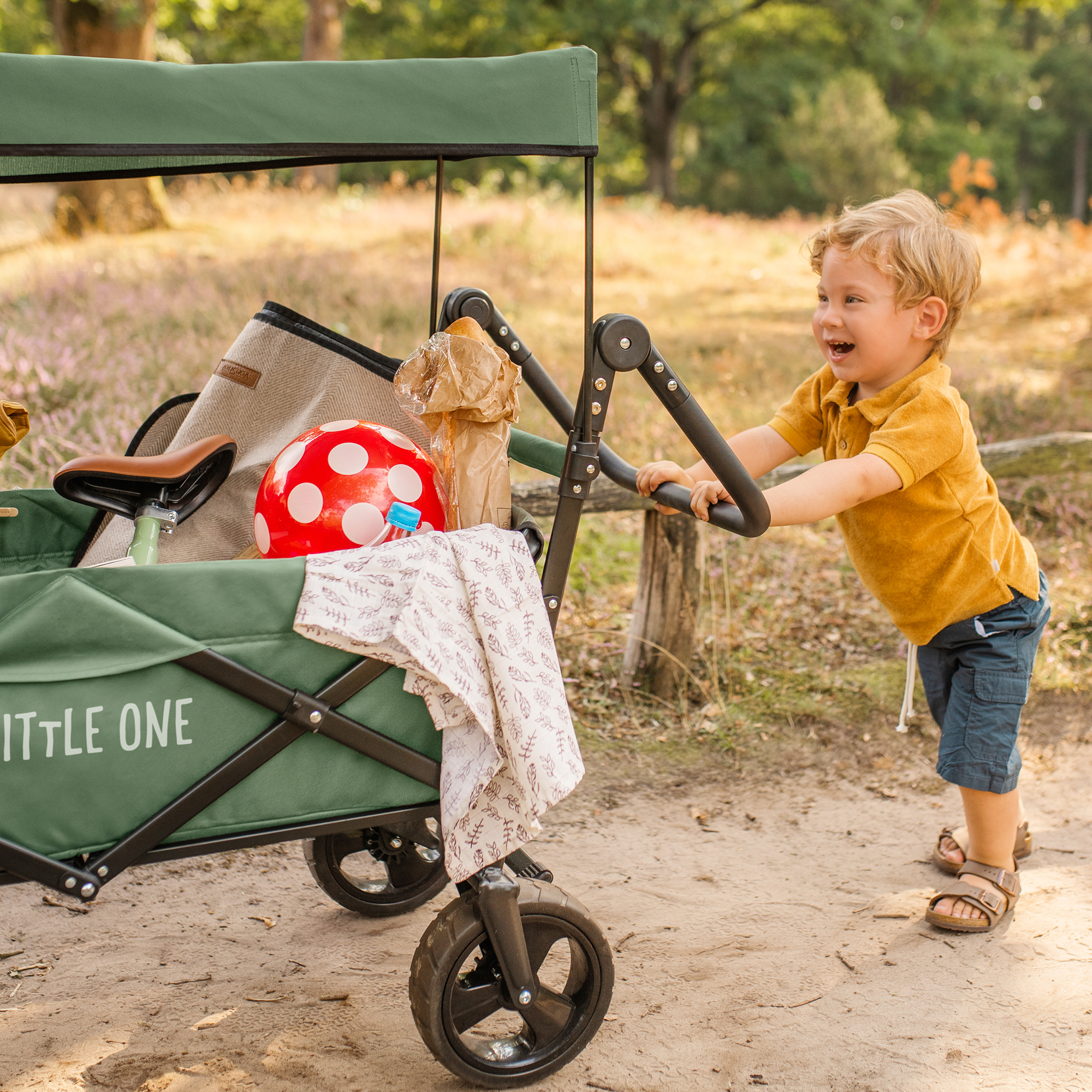 Bollerwagen, LITTLE ONE, Grün – Produktansicht