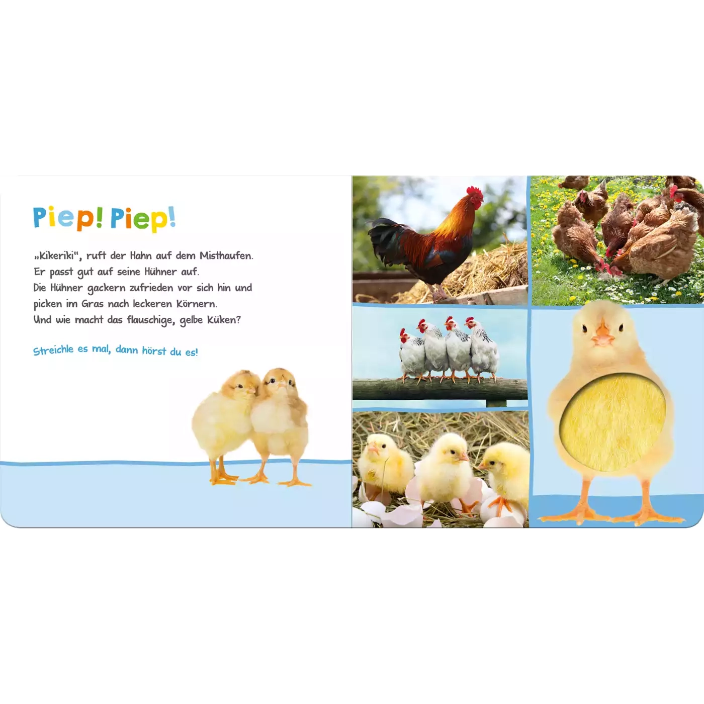 arsEdition, arsEdition, Weiß – Produktansicht