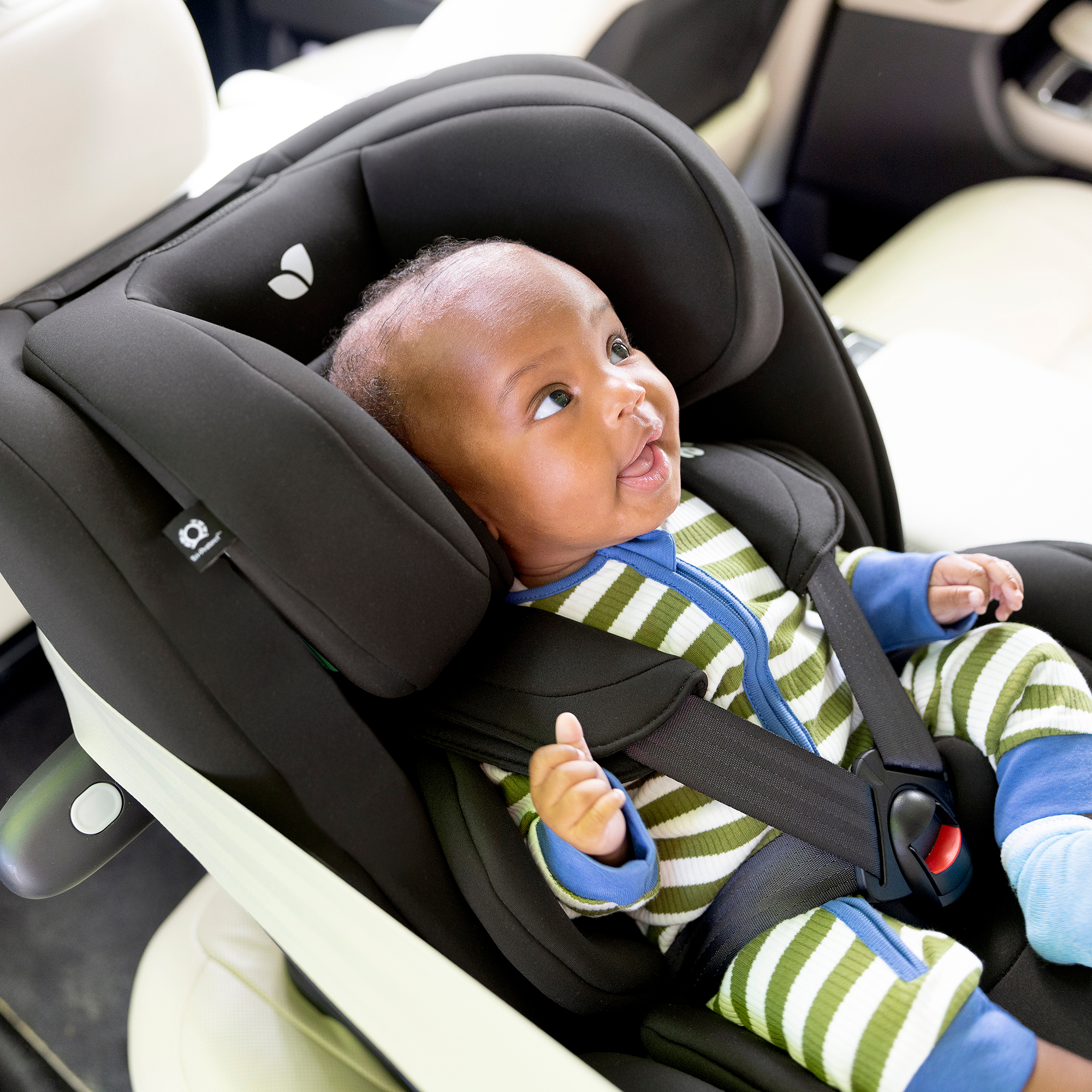 Produkte, Joie, Grün