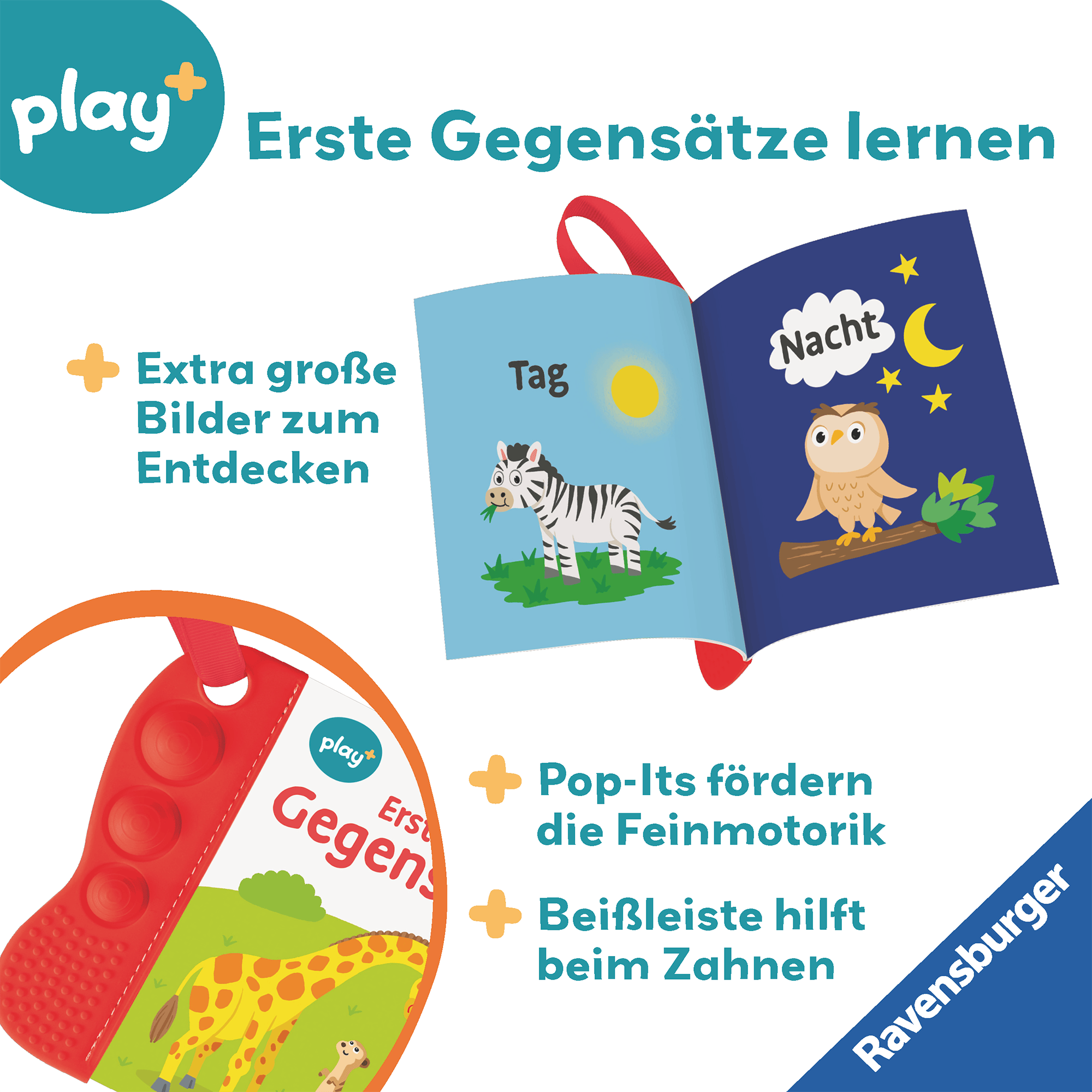 Kinderbücher, Ravensburger, Mehrfarbig – Produktansicht