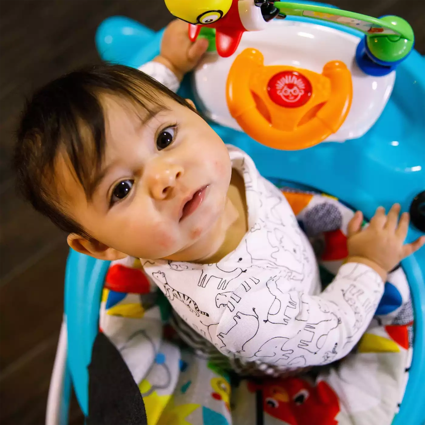 baby einstein Walker Sky Explorers in Blau BabyOne