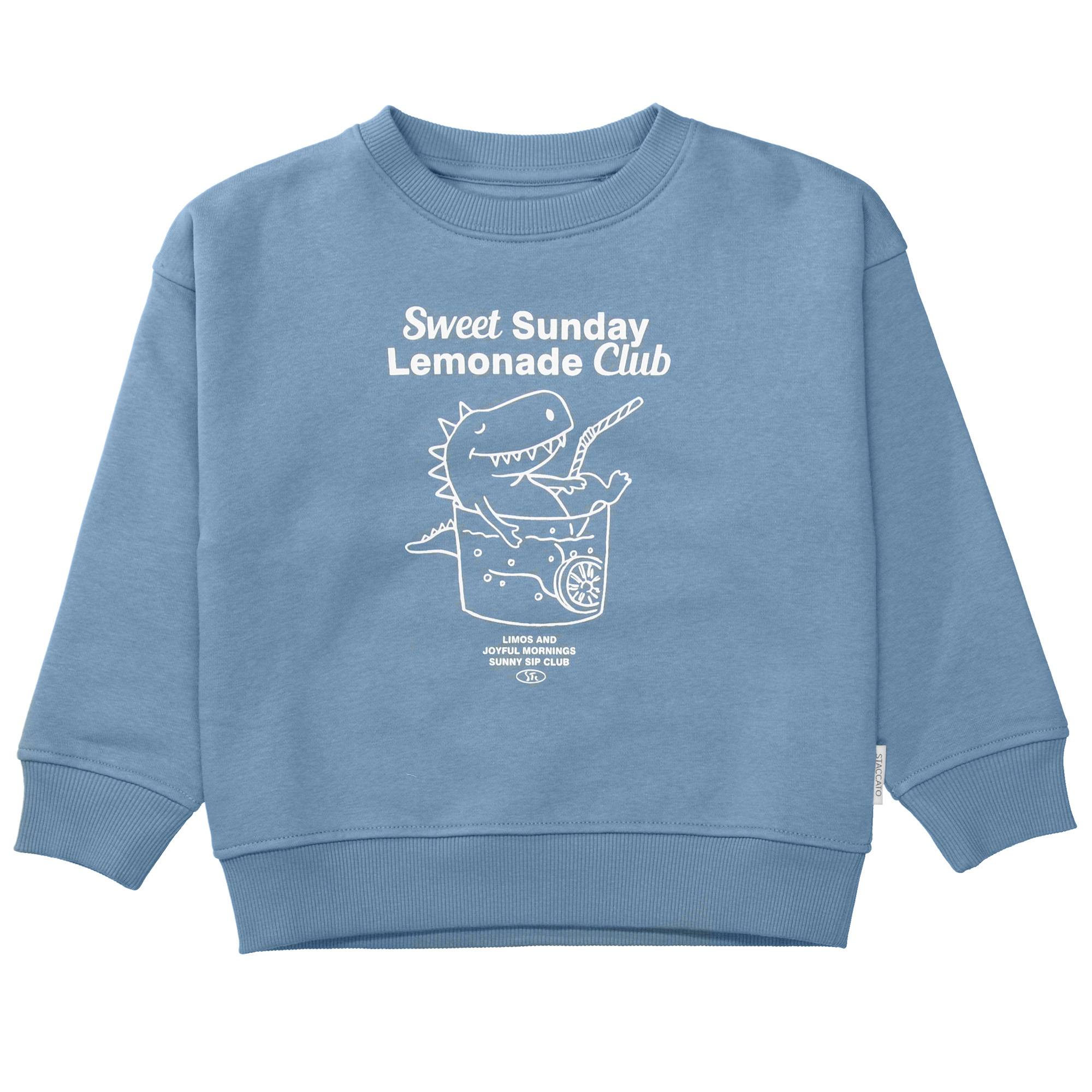 Pullover & Sweatshirts, STACCATO, Blau – Besonderheit: aus 80% Baumwolle