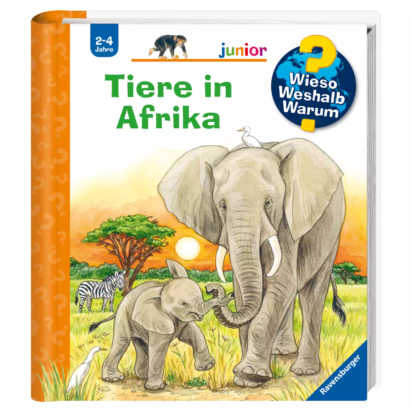 WWW junior: Tiere in Afrika Ravensburger 2000559757606 1