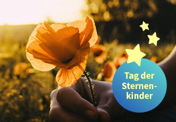 Tag der Sternenkinder: Mohnblume in der Hand bei untergehender Sonne.