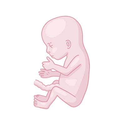 Baby ein, das mit den händen zusammen auf dem boden.