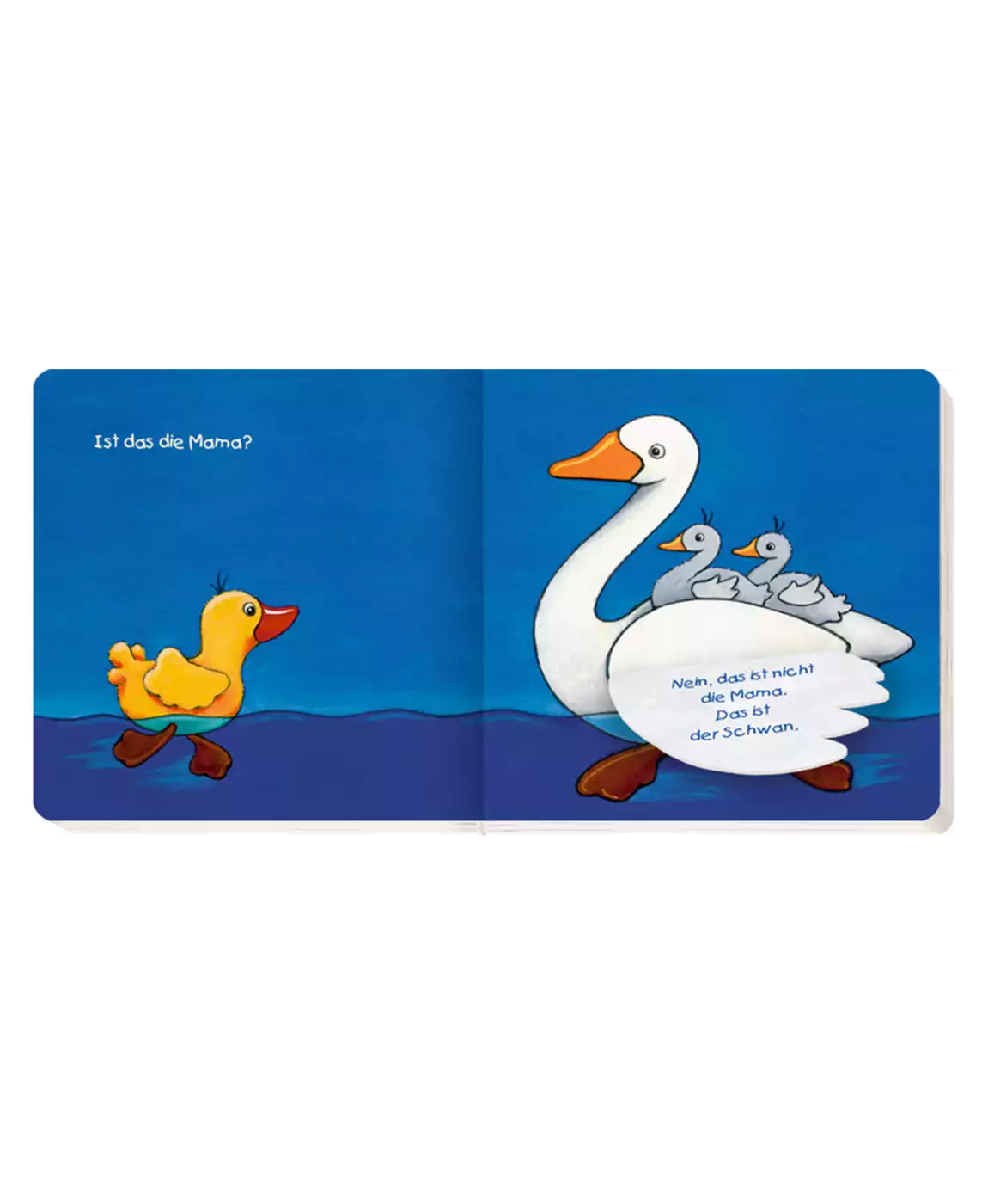 Kleine Ente Nelli - Mein erstes Klappbuch COPPENRATH 2000573517606 4