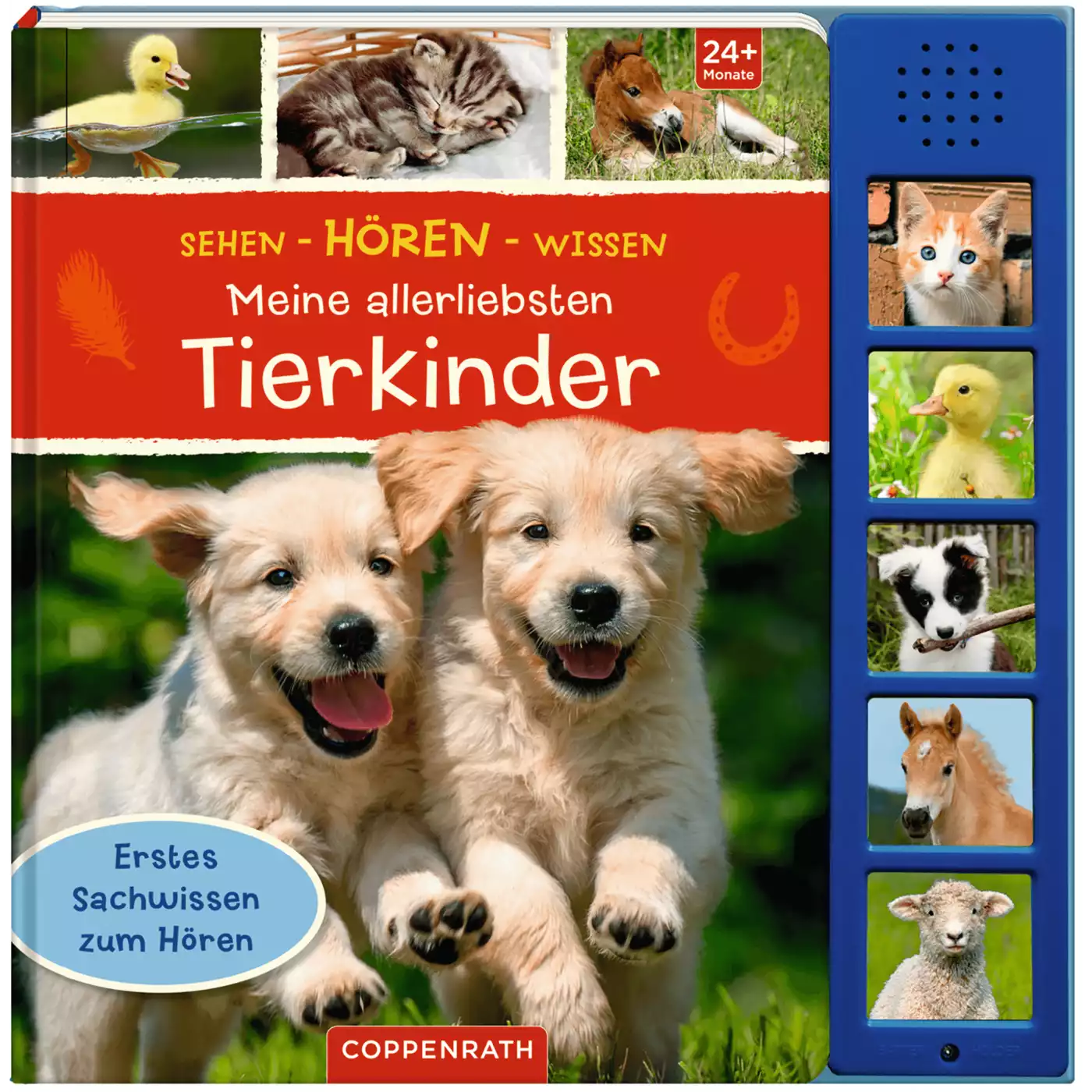 Sehen-Hören-Wissen: Meine allerliebsten Tierkinder COPPENRATH 2000568530801 1