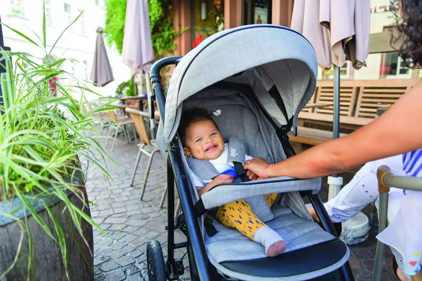 Joie Litetrax und Mytrax