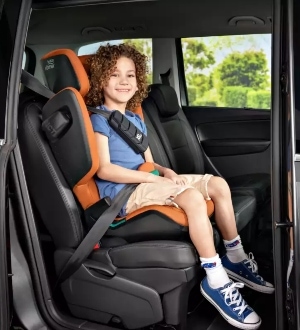 Isofix Adapter in Auto-Kindersitze online kaufen